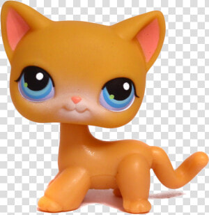 Lps Shorthair Cat Png  Transparent Png