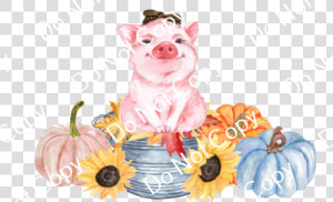 Cds Print N Cut Ready To Apply Fall   Domestic Pig  HD Png Download