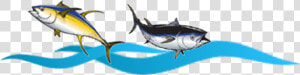 Transparent Marlin Clipart   Atlantic Blue Marlin  HD Png Download