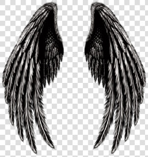  angel  wings  angelwings  blackandwhite   Transparent Pink Angel Wings  HD Png Download