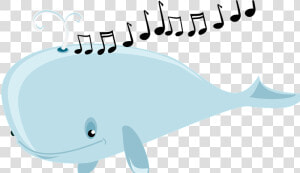 Whale Sounds Clipart Graphic Free Library Why Do Whales   Whales  HD Png Download