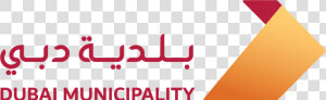 Dubai Municipality Logo  HD Png Download