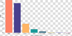 Bar Chart For Ethnicity  HD Png Download