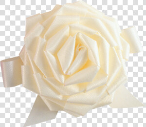 White Roses Png Free Download   Garden Roses  Transparent Png