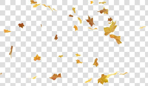 Falling Leaves Png   Autumn Falling Leaves Png  Transparent Png