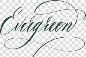 Evergreen In Calligraphy   Calligraphy  HD Png Download