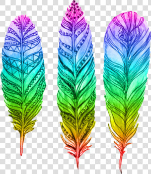  feather  pluma  rainbow  arcoiris  interesting  art   Feather Coloring Ideas  HD Png Download