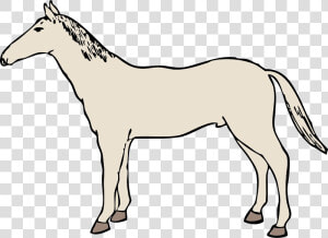 Horse   Desenho Fazenda Cavalo Png Gratis  Transparent Png