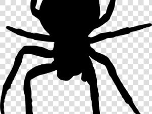 Horror Clipart Scary Spider   Spider Silhouette Png  Transparent Png