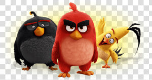 Angry Birds Movie Group Photo   Personajes De Angry Birds  HD Png Download