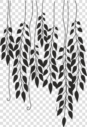 Tree Vines And Flowers Drawing Clipart   Png Download   Vines Around A Branch Drawing  Transparent Png