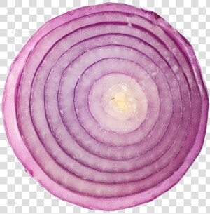 Sliced Onion Png Transparent Image  Png Download