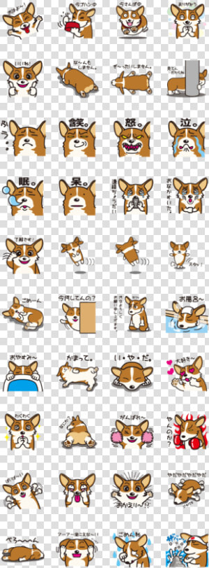 Corgi Clipart Sticker   Tag Sticker Super Junior  HD Png Download