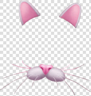 Snapchat Filter Bunny Rose   Transparent Cat Snapchat Filter  HD Png Download