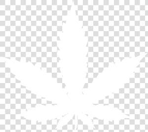 Transparent Real Weed Leaf Png   Marijuana Leaf  Png Download