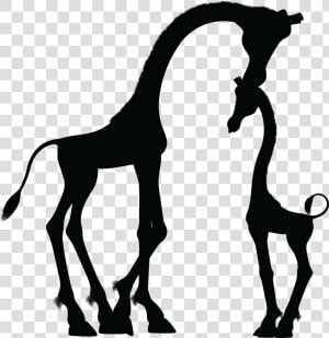 Mother And Child Giraffe Silhouette Icons Png   Baby Giraffe Clipart Black And White  Transparent Png