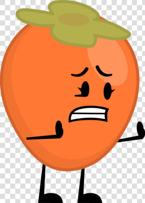 Persimmon Png   Drawing  Transparent Png