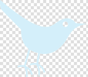 Twitter  Tweet  Bird  Blue  Sparrow  Animal   Social Media  HD Png Download