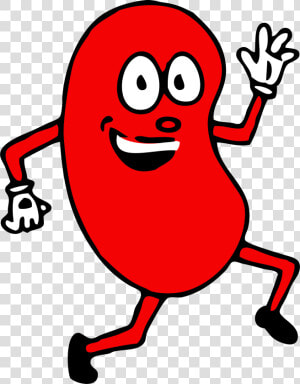 Happy Clipart Kidney   Cool Kidney  HD Png Download