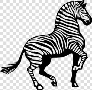 Zebra  Africa  Animal  Safari  Striped  Black  White   Zebra Clipart Black And White  HD Png Download