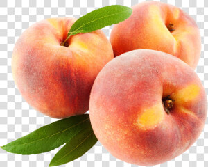 Peach Fruits With Leaf Png Image   Fruits Png  Transparent Png