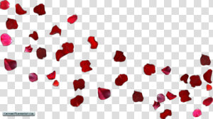 Free Wedding Falling Rose Petals Animation Background   Rose Petals Blowing In The Wind  HD Png Download