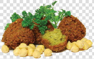 Falafel Png Image   Meat  Transparent Png