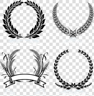 Transparent Laurel Clipart   Laurel Wreath  HD Png Download