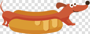 Hot Dog Wiener Dog  HD Png Download