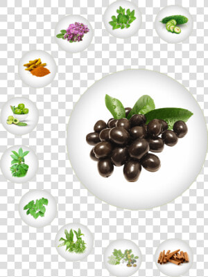 Ayurvedic Herb For Diabetes  Natural Herb For Diabetes    Olive  HD Png Download