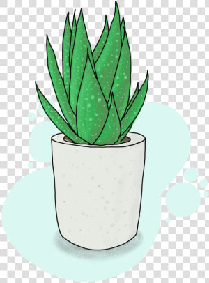 Flowerpot  HD Png Download