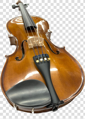 Viola  HD Png Download