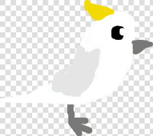 Cockatoo Png  Transparent Png