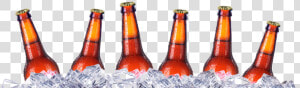 Cooler Beers  HD Png Download