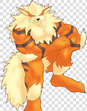 More Arcanine   Muscular Arcanine  HD Png Download