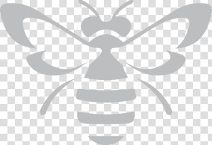 Insect wing membrane Winged Insect black And White design clip   Black White Bee Png  Transparent Png