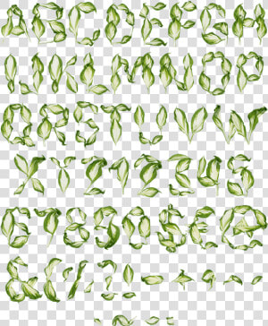 Pipal Leaves Font   Png Download   Leaves Font  Transparent Png