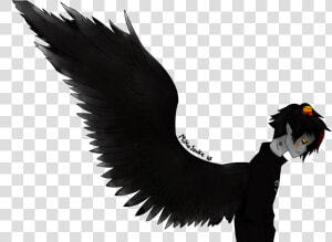 Dark Angel Png   Bird Of Prey  Transparent Png