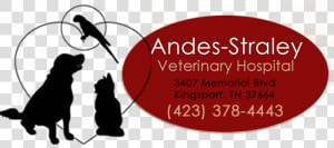 Veterinarian In Kingsport  Tn src Https   Silhouette  HD Png Download