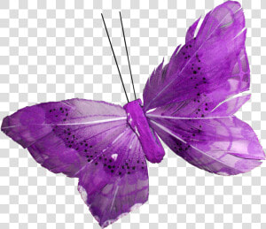 Purple Butterfly Png   Фиолетовые Пнг  Transparent Png