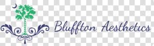 Bluffton   Calligraphy  HD Png Download