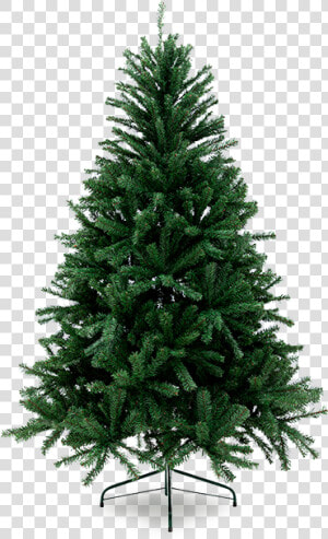 4 Ft Fraser Fir  HD Png Download