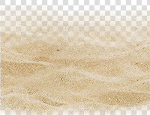 Transparent Seashore Clipart   Beach Transparent Background Sand Png  Png Download