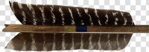 Extra Large  6 Inch Naturally Banded Feathers   Scabbard  HD Png Download