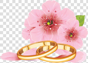 Palomas Con Anillos De Boda Png   Cherry Blossom Flower Drawing  Transparent Png