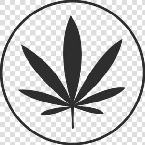 Graphic Stock Goodies   Cool Weed Instagram Profile  HD Png Download