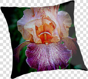 Vibrant Iris Flower   Cushion  HD Png Download