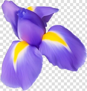 Clipart Of Iris Flower Clip Transparent Stock Purple   Iris Flower Clip Art  HD Png Download