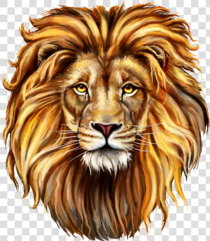 Lion Clip Art Png Image Free Download Searchpng   Draw A Lions Mane  Transparent Png