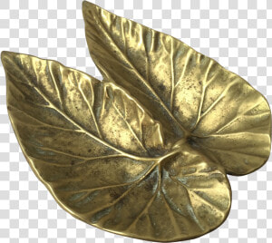 Virginia Metal Crafters Brass Begonia Leaf On Chairish   Bronze  HD Png Download